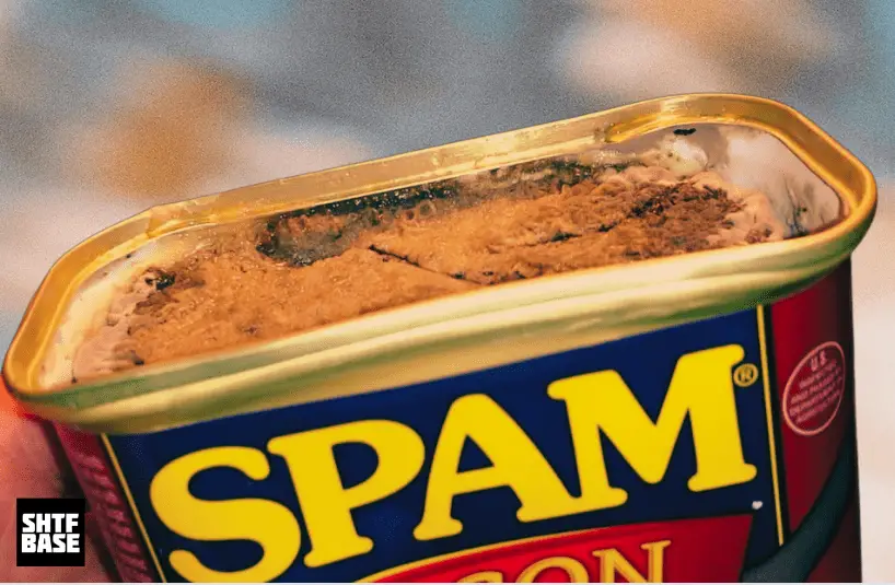 spam, sausage, ham, spoiled