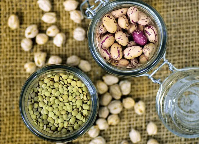 beans, lenses, quail beans