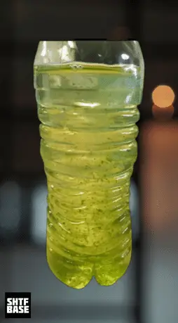 algae, water, bottle, plastic