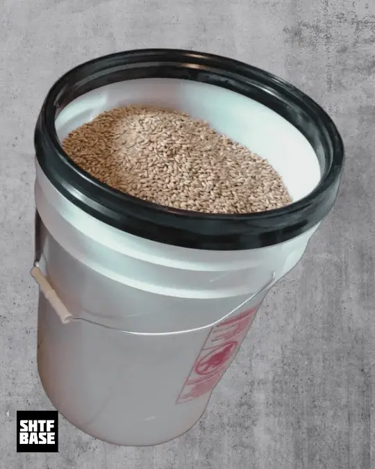 bucket, food, gamma