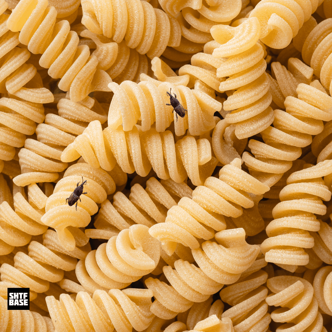 pasta, food