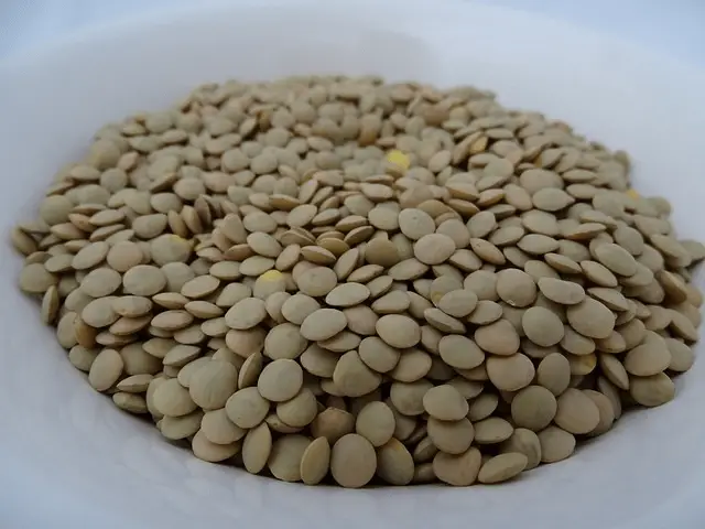 lentils, food, nutrition