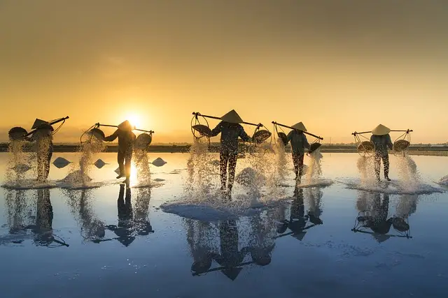 salt harvesting, vietnam, water
