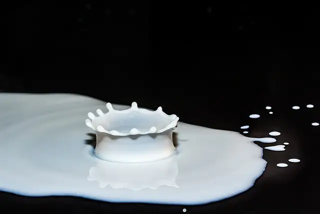 drops of milk, spray, splash