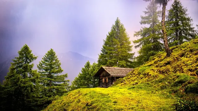 alpine hut, mountains, trees, own home