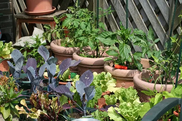 garden space, raised beds, grow your own food, garden bed