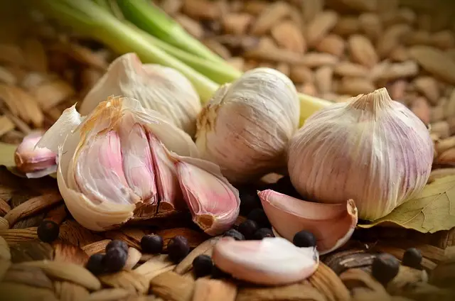 garlic, food crops, enough food